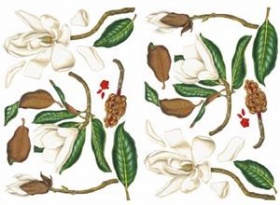 Салфетки д/декупажа "Магнолия" 50х70см, 20 гр/см2,