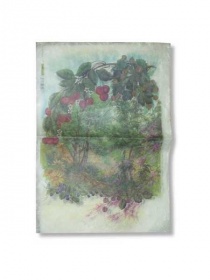 Бумага рисовая для декупажа 25 г/м2, 35X50 см, 10л/уп, Подлесок