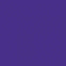 Фиолетовая темная 40 мл.