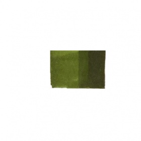 Маркер (2 пера: долото и тонкое, 254 оттенка)(Цвет маркера: Gray Green 1 (Серо-зелёный 1))