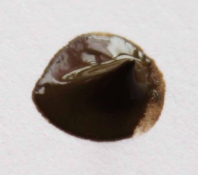 Умбра натуральная  Акрил