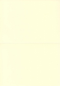 Заготовка для открытки А6 двойная, в развороте 210х148 мм, 250 г/кв. м, упаковка 100 шт., цвет слон