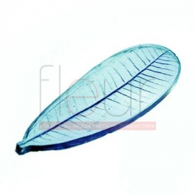 Фактура плюмерия лист