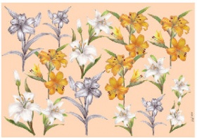 Бумага д/декуп.40г/м2,35X50см,10л/уп,Лилии